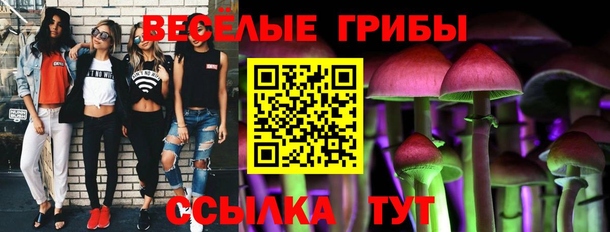 Галлюциногенные грибы мухоморы Кохма